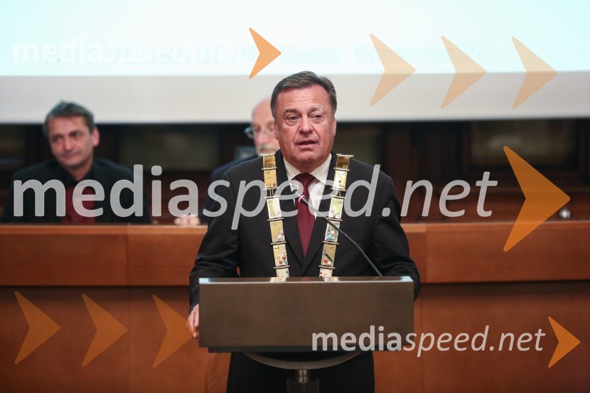 Mestna občina Ljubljana, mestni svet