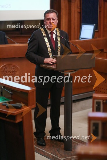 Mestna občina Ljubljana, mestni svet