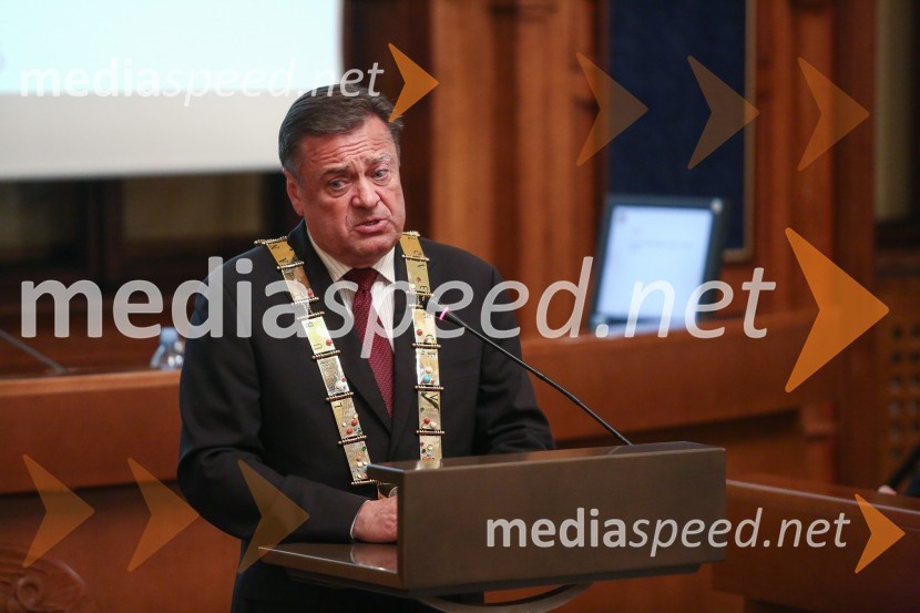 Mestna občina Ljubljana, mestni svet