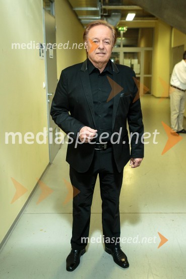  Alfi Nipič, pevecNoč Modrijanov 2014