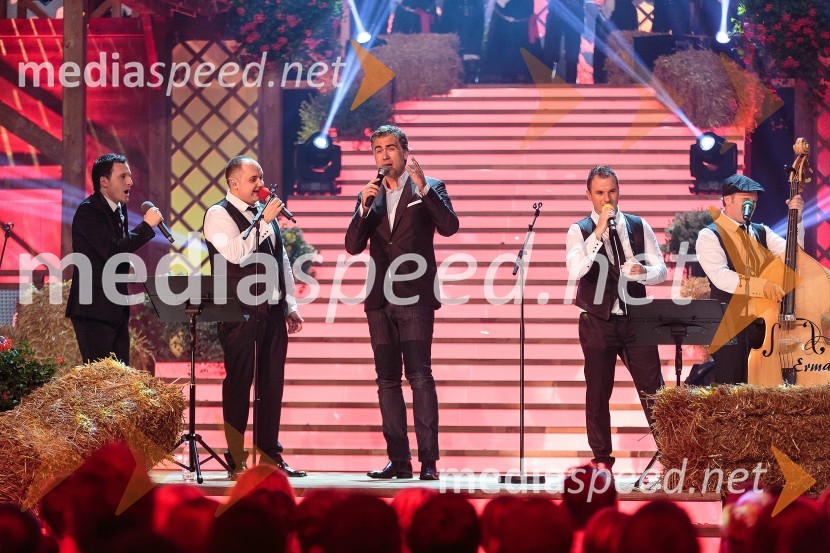 Modrijani in Jan PlestenjakNoč Modrijanov 2014