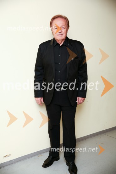 Noč Modrijanov 2014