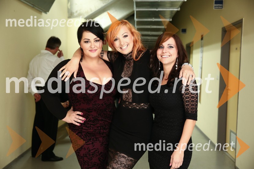 Noč Modrijanov 2014