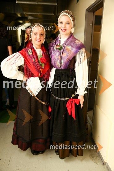 Noč Modrijanov 2014