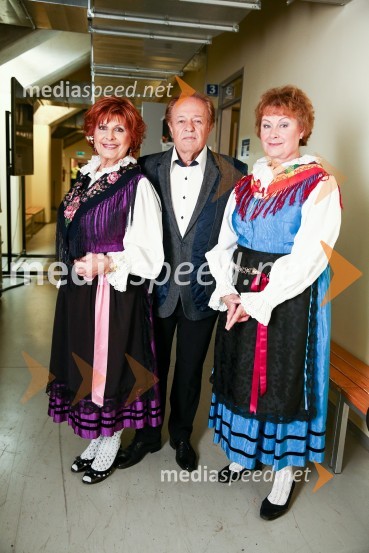 Noč Modrijanov 2014