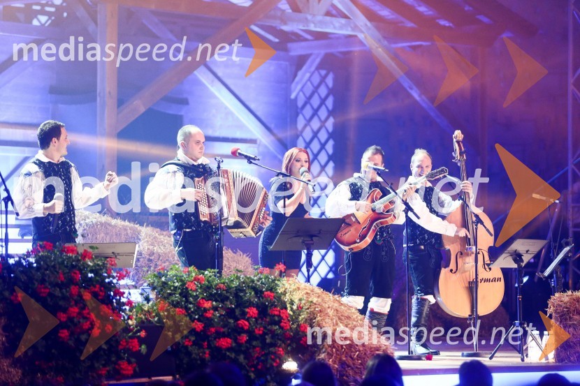 Noč Modrijanov 2014