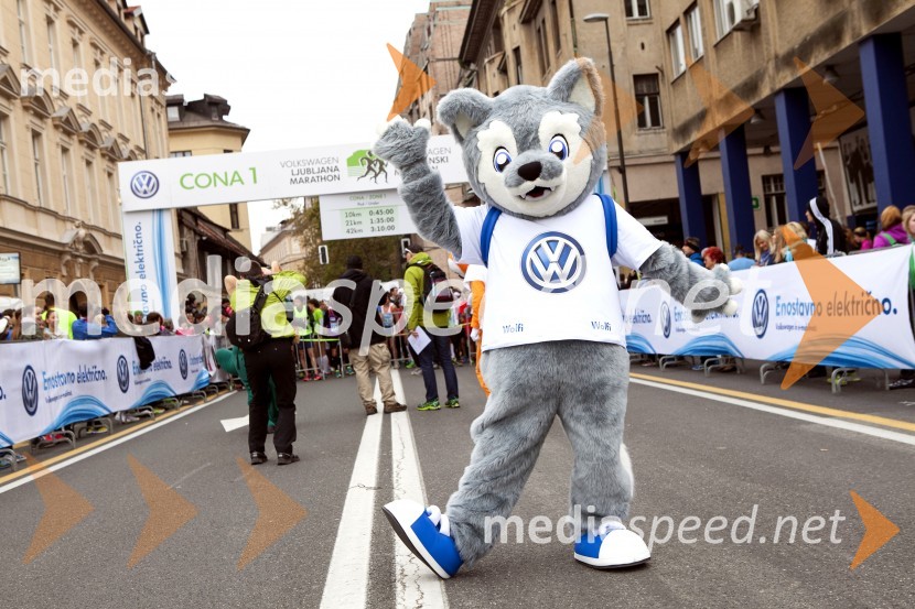 Volkswagen 19. Ljubljanski maraton 2014