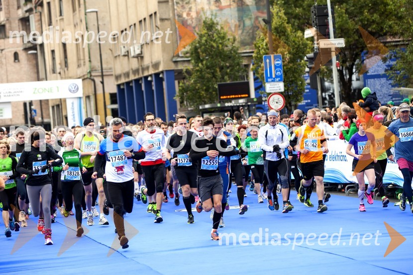 Volkswagen 19. Ljubljanski maraton 2014