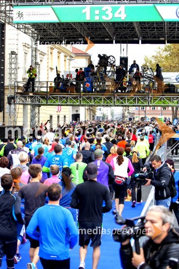 Volkswagen 19. Ljubljanski maraton 2014
