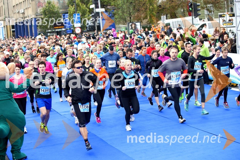 Volkswagen 19. Ljubljanski maraton 2014