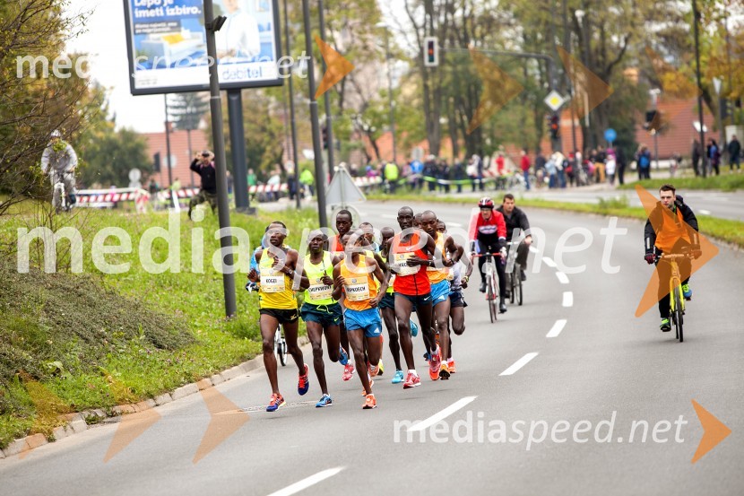Volkswagen 19. Ljubljanski maraton 2014