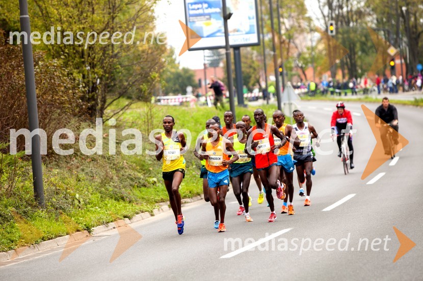 Volkswagen 19. Ljubljanski maraton 2014