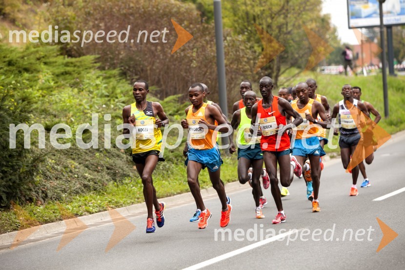 Volkswagen 19. Ljubljanski maraton 2014