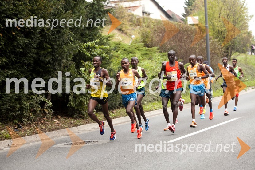 Volkswagen 19. Ljubljanski maraton 2014