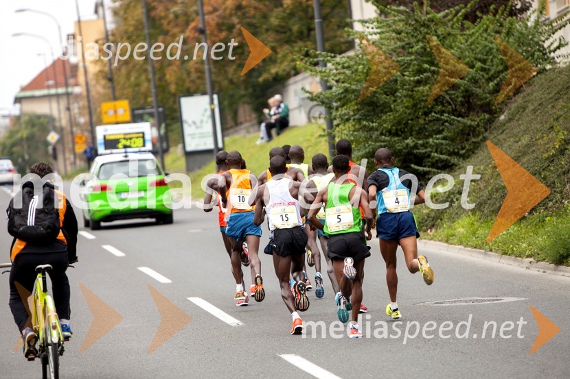Volkswagen 19. Ljubljanski maraton 2014