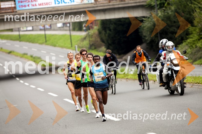 Volkswagen 19. Ljubljanski maraton 2014