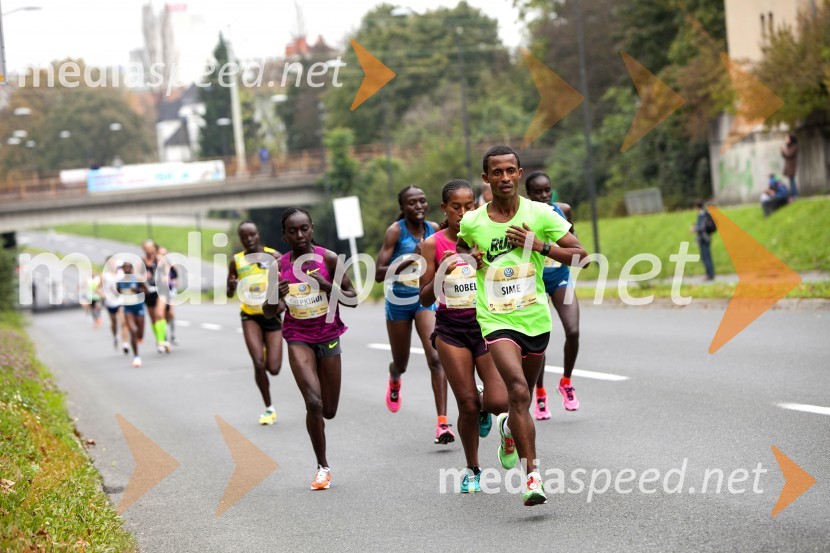 Volkswagen 19. Ljubljanski maraton 2014
