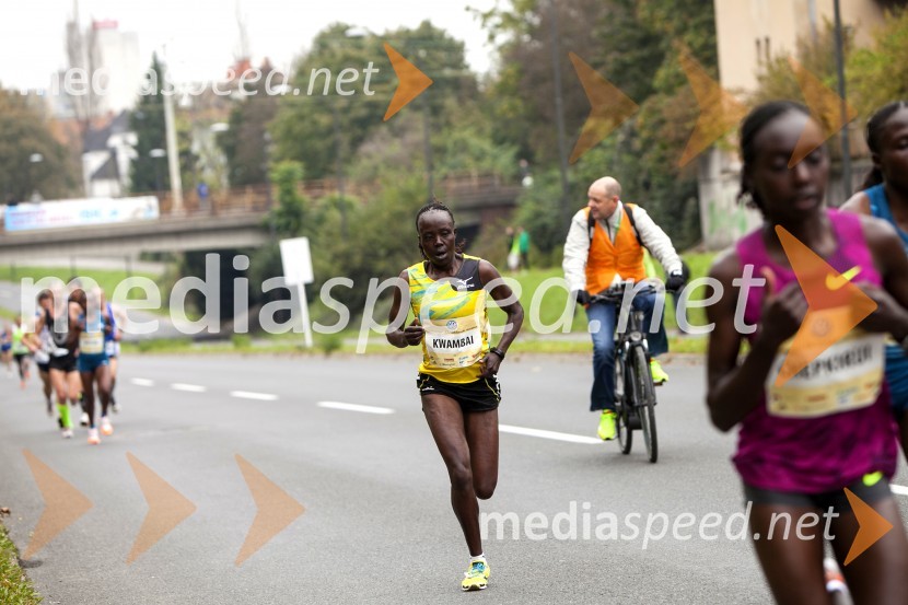 Volkswagen 19. Ljubljanski maraton 2014