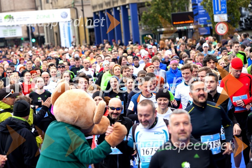 Volkswagen 19. Ljubljanski maraton 2014