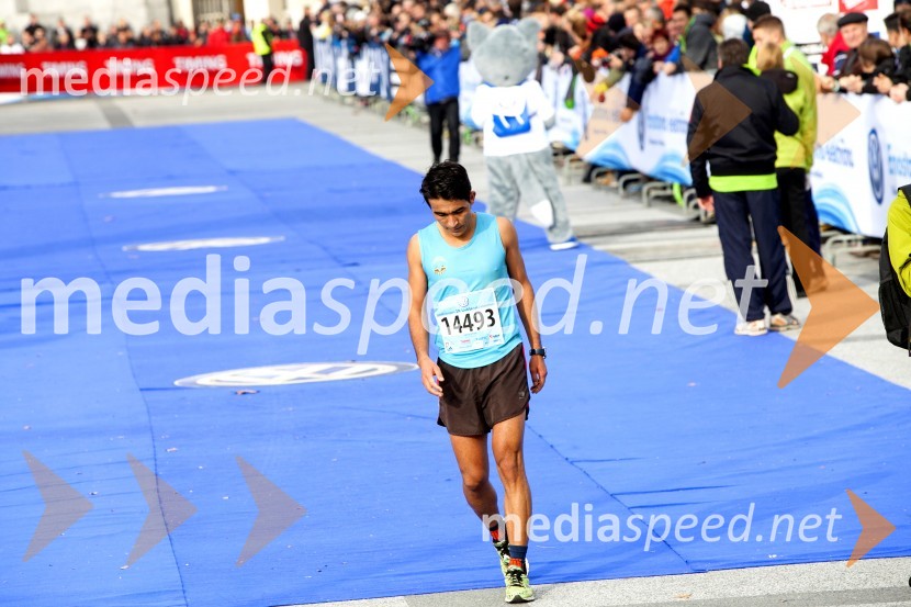Volkswagen 19. Ljubljanski maraton 2014