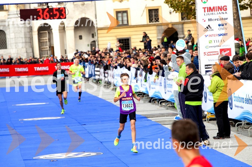 Volkswagen 19. Ljubljanski maraton 2014