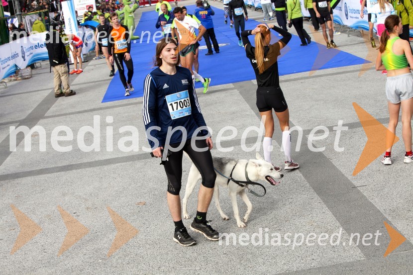 Volkswagen 19. Ljubljanski maraton 2014