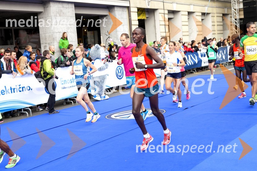 Volkswagen 19. Ljubljanski maraton 2014