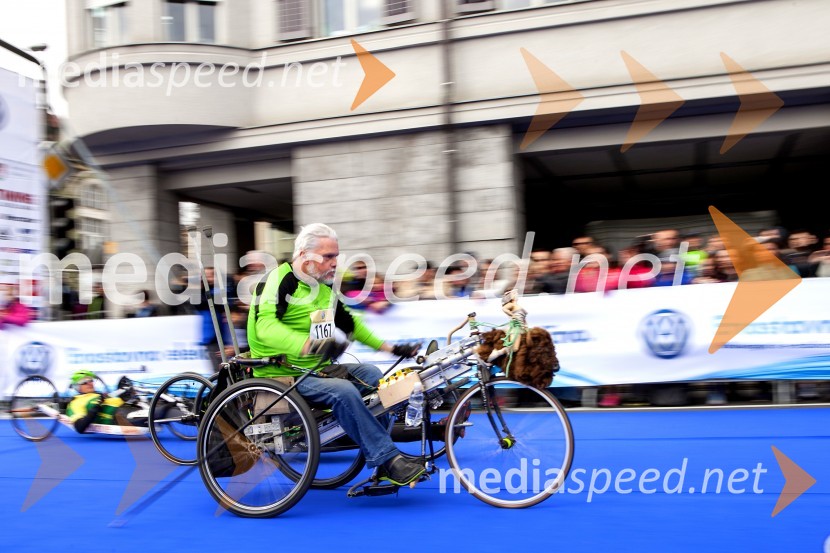 Volkswagen 19. Ljubljanski maraton 2014