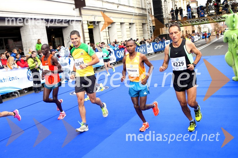 Volkswagen 19. Ljubljanski maraton 2014