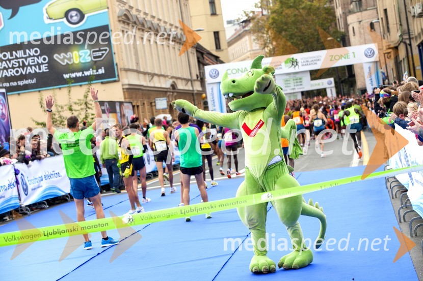 Volkswagen 19. Ljubljanski maraton 2014