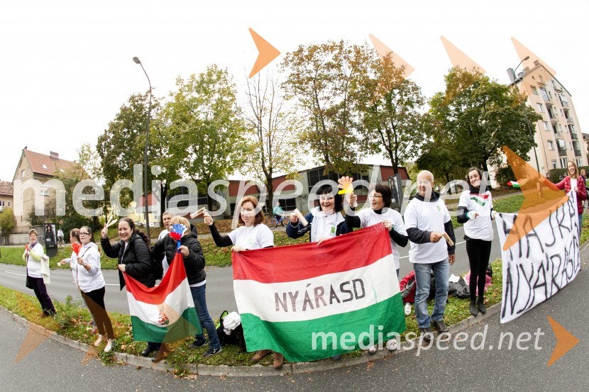 Volkswagen 19. Ljubljanski maraton 2014