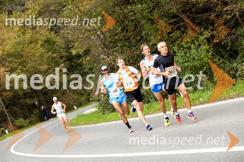 Volkswagen 19. Ljubljanski maraton 2014