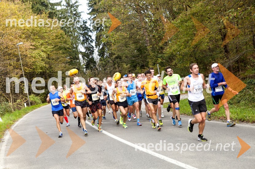 Volkswagen 19. Ljubljanski maraton 2014