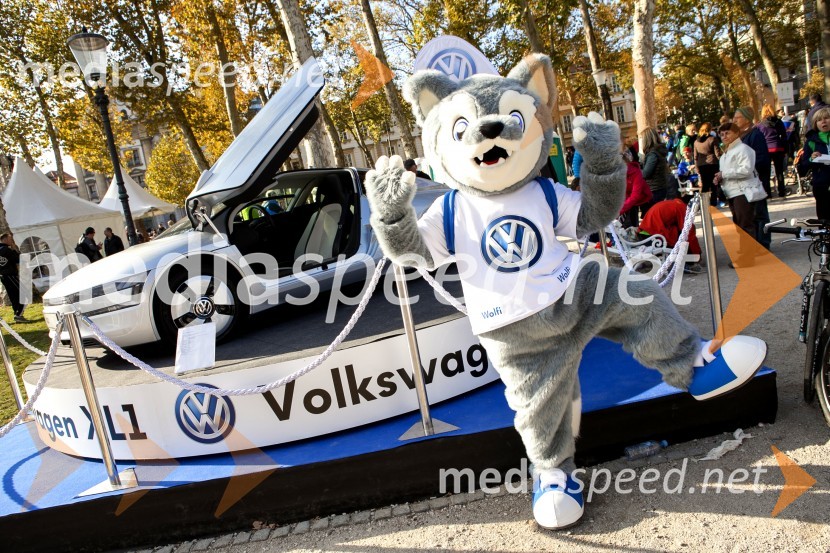 Volkswagen 19. Ljubljanski maraton 2014