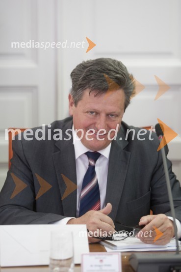  Gregor Pivec, direktor UKC Maribor, svetnik MOM, SDS - Slovenska demokratska strankaKonstitutivna seja Mestnega sveta Mestne občine Maribor