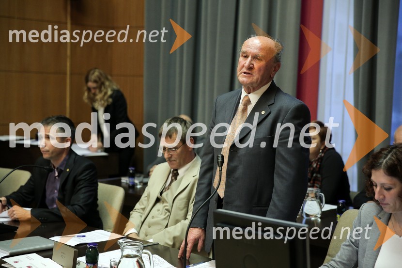 Mestna občina Kranj, ustanovna seja Mestnega sveta