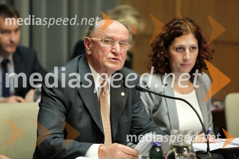 Mestna občina Kranj, ustanovna seja Mestnega sveta