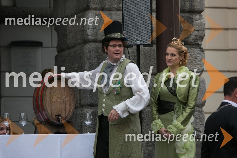 Znani Slovenci martinovali v LjubljaniZnani Slovenci martinovali v Ljubljani