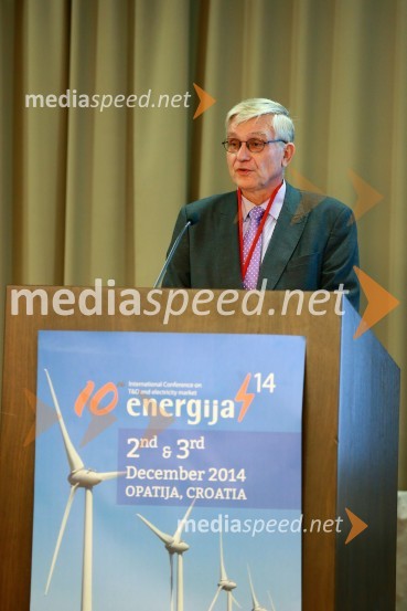 Hans ten Berge, generalni sekretar združenja EureletricEnergija14, 10. mednarodna konferenca o energiji