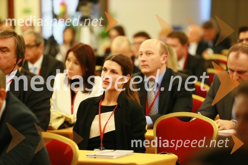  Mateja Čuk, odvetnica, Odvetniška pisarna družba Rojs, Peljhan, Prelesnik & partnerjiEnergija14, 10. mednarodna konferenca o energiji