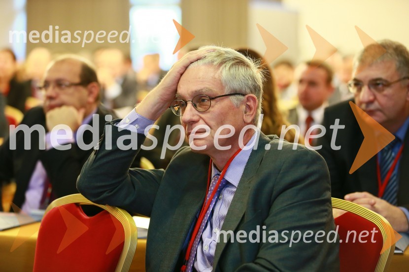  Hans ten Berge, generalni sekretar združenja EureletricEnergija14, 10. mednarodna konferenca o energiji