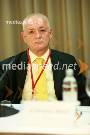 dr.  Miroslav Mesić, predsednik uprave HOPSEnergija14, 10. mednarodna konferenca o energiji
