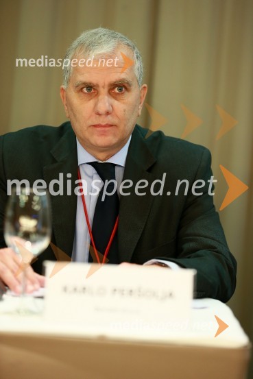  Karlo Peršolja, direktor BorzenEnergija14, 10. mednarodna konferenca o energiji