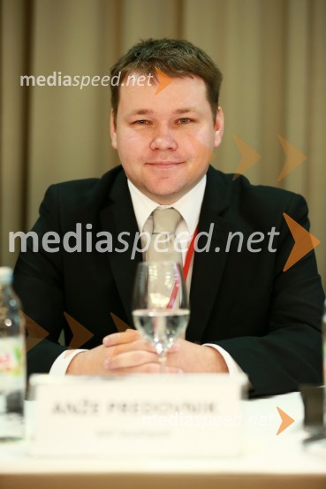  Anže Predovnik, direktor BSP SouthpoolEnergija14, 10. mednarodna konferenca o energiji