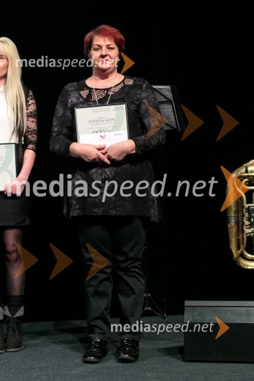 Ljubljanska kakovost 2015, podelitev priznanj