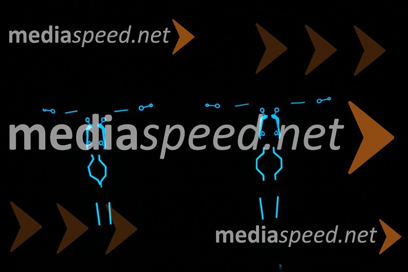 Slovenija ima talent 2014, peta polfinalna oddaja