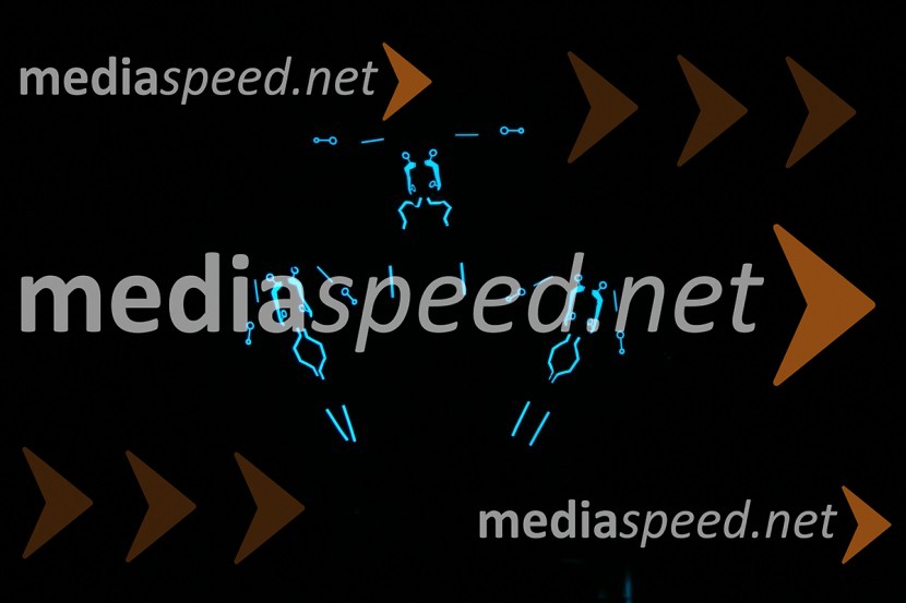 Slovenija ima talent 2014, peta polfinalna oddaja