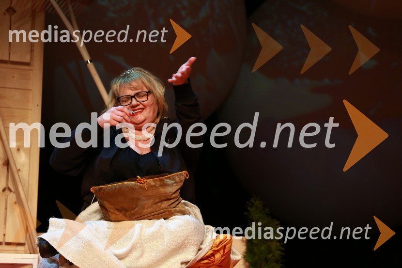  Desa Muck, voditeljica, pisateljicaVikendovi Gongi popularnosti, podelitev 2014