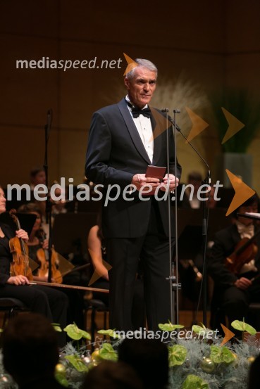  Slobodan Sibinčič , generalni sekretar Evropskega združenja poslovnih medijev, predsednik uprav GV skupine, predsednik sveta Managerskih koncertovManagerski koncert 2014