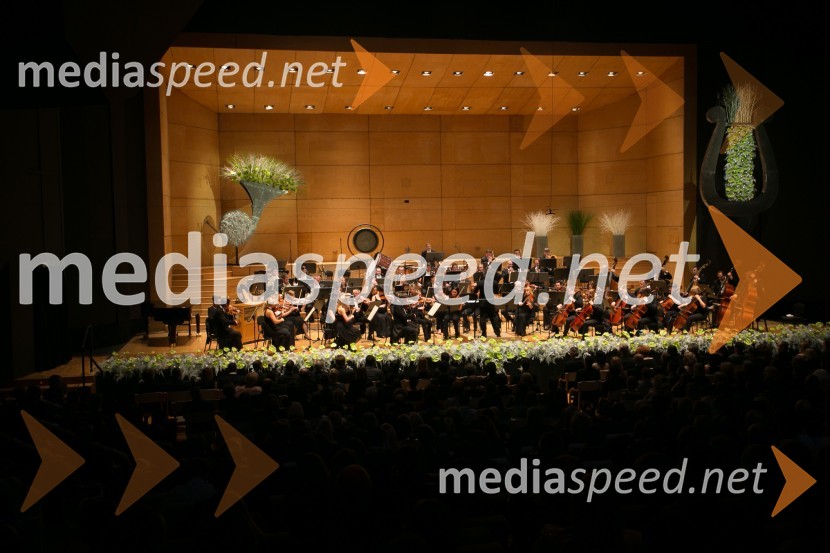 Managerski koncert 2014Managerski koncert 2014